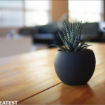 海外テーマでハマった...